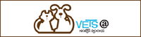 Vets  North Rocks