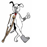 Richmond Veterinary Hospital - Gold Coast Vets 0