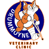 Drummoyne Veterinary Clinic