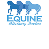 Dr Ed's Equine Veterinary Services - Gold Coast Vets