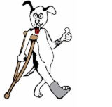 Wilberforce Veterinary Hospital - Gold Coast Vets