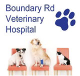 Boundary Road Veterinary Hospital Peakhurst - Gold Coast Vets