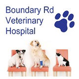Boundary Road Veterinary Hospital Peakhurst - Gold Coast Vets 0