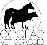 Coolac Veterinary Services - Gold Coast Vets