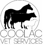 Coolac Veterinary Services - Gold Coast Vets 0