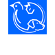 Book North Sydney Accommodation Vacations Gold Coast Vets Gold Coast Vets