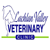 Lachlan Valley Veterinary Clinic - Gold Coast Vets