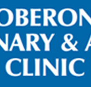Oberon Veterinary and Animal Clinic - Gold Coast Vets