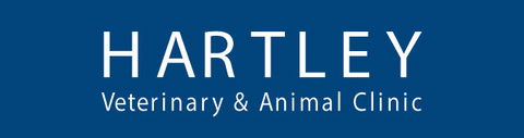 Hartley Veterinary Clinic And Animal Centre - Gold Coast Vets 0