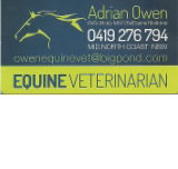 ADRIAN OWEN Equine Veterinarian - Gold Coast Vets