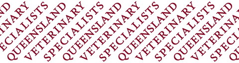 Queensland Veterinary Specialists - Gold Coast Vets 0