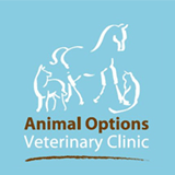 Animal Options Veterinary Clinic - Gold Coast Vets 0