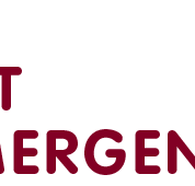 Pet E.R. - Gold Coast Vets