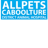 Allpets Caboolture District Animal Hospital - thumb 0