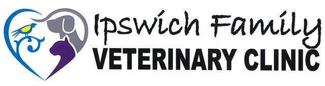 Ipswich QLD Gold Coast Vets