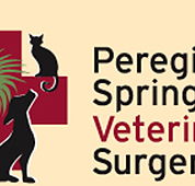 Peregian Springs Veterinary Surgery - Gold Coast Vets