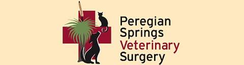 Peregian Springs Veterinary Surgery - Gold Coast Vets 0