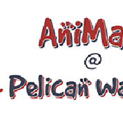 AniMals  Pelican Waters - Gold Coast Vets