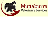 Muttaburra Veterinary Services - Gold Coast Vets