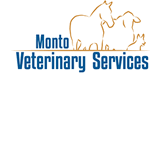 MontoVet Surgery - Gold Coast Vets