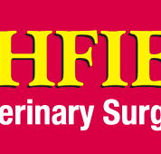 Highfields Veterinary Surgery - Gold Coast Vets