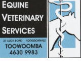 Equine Veterinary Services - Gold Coast Vets