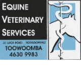 Equine Veterinary Services - Gold Coast Vets 0