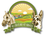 All Creatures Veterinary Services - Gold Coast Vets