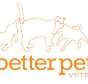 Better Pet Vets Northern Beaches - Gold Coast Vets