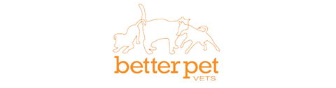 Better Pet Vets Northern Beaches - Gold Coast Vets 0