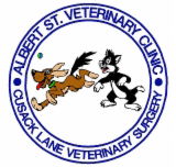 Albert Street Veterinary Clinic - Gold Coast Vets