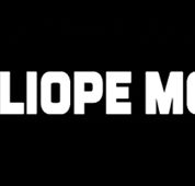 Calliope Mobile Vet - Gold Coast Vets