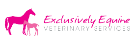 Hatton Vale QLD Gold Coast Vets