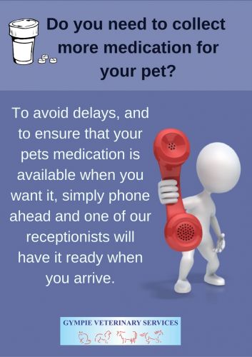 Gympie Veterinary Services - Gold Coast Vets 0