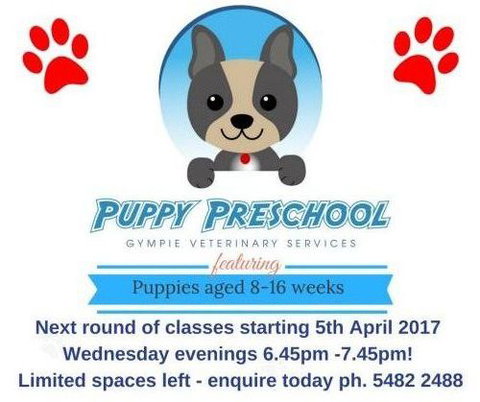 Gympie Veterinary Services - Gold Coast Vets 1