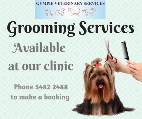 Gympie Veterinary Services - Gold Coast Vets 4