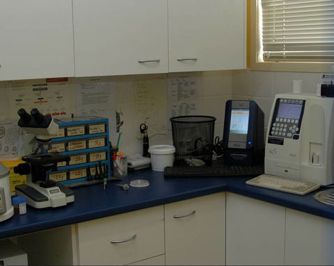 Kingaroy Veterinary Surgery - Gold Coast Vets 2