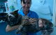 Proserpine Vet Surgery - thumb 14