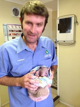 Killarney Vale Veterinary Clinic - Gold Coast Vets 2