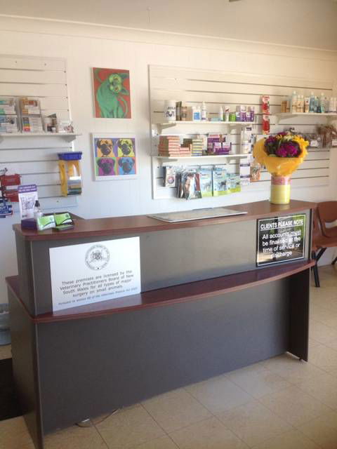 Killarney Vale Veterinary Clinic - Gold Coast Vets 3