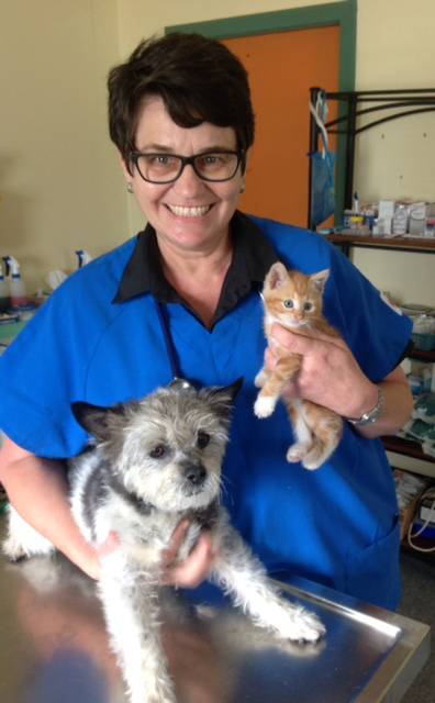 Killarney Vale Veterinary Clinic - Gold Coast Vets 4