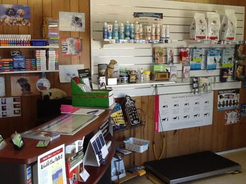Killarney Vale Veterinary Clinic - Gold Coast Vets 5