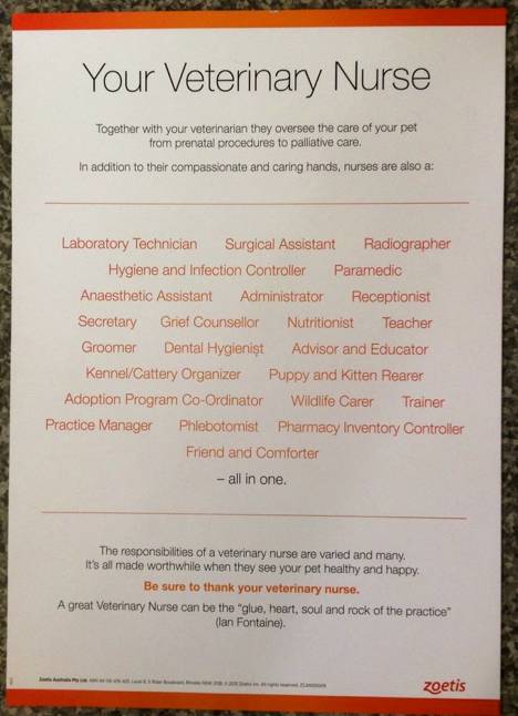 Killarney Vale Veterinary Clinic - Gold Coast Vets 6