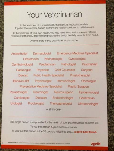 Killarney Vale Veterinary Clinic - Gold Coast Vets 7