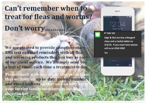 Killarney Vale Veterinary Clinic - Gold Coast Vets 8