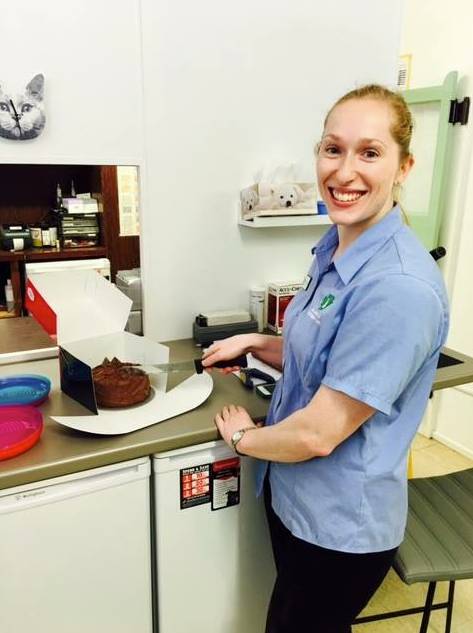 Killarney Vale Veterinary Clinic - Gold Coast Vets 10