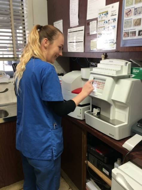 Killarney Vale Veterinary Clinic - Gold Coast Vets 12