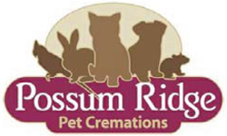 White Rock QLD Gold Coast Vets