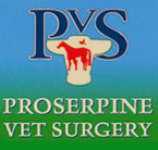 Proserpine Vet Surgery - Gold Coast Vets