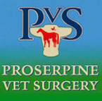 Proserpine Vet Surgery - Gold Coast Vets 0
